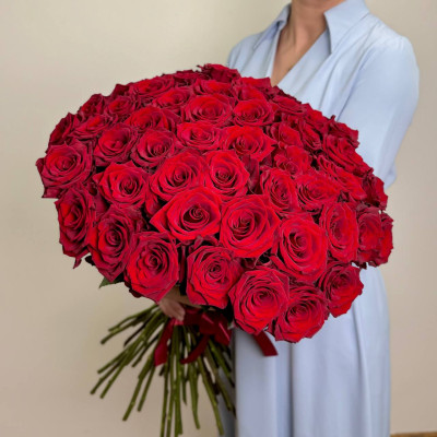 Роза &laquo;Эквадор Эксплорер&raquo; &mdash; 51 шт., атласная лента.