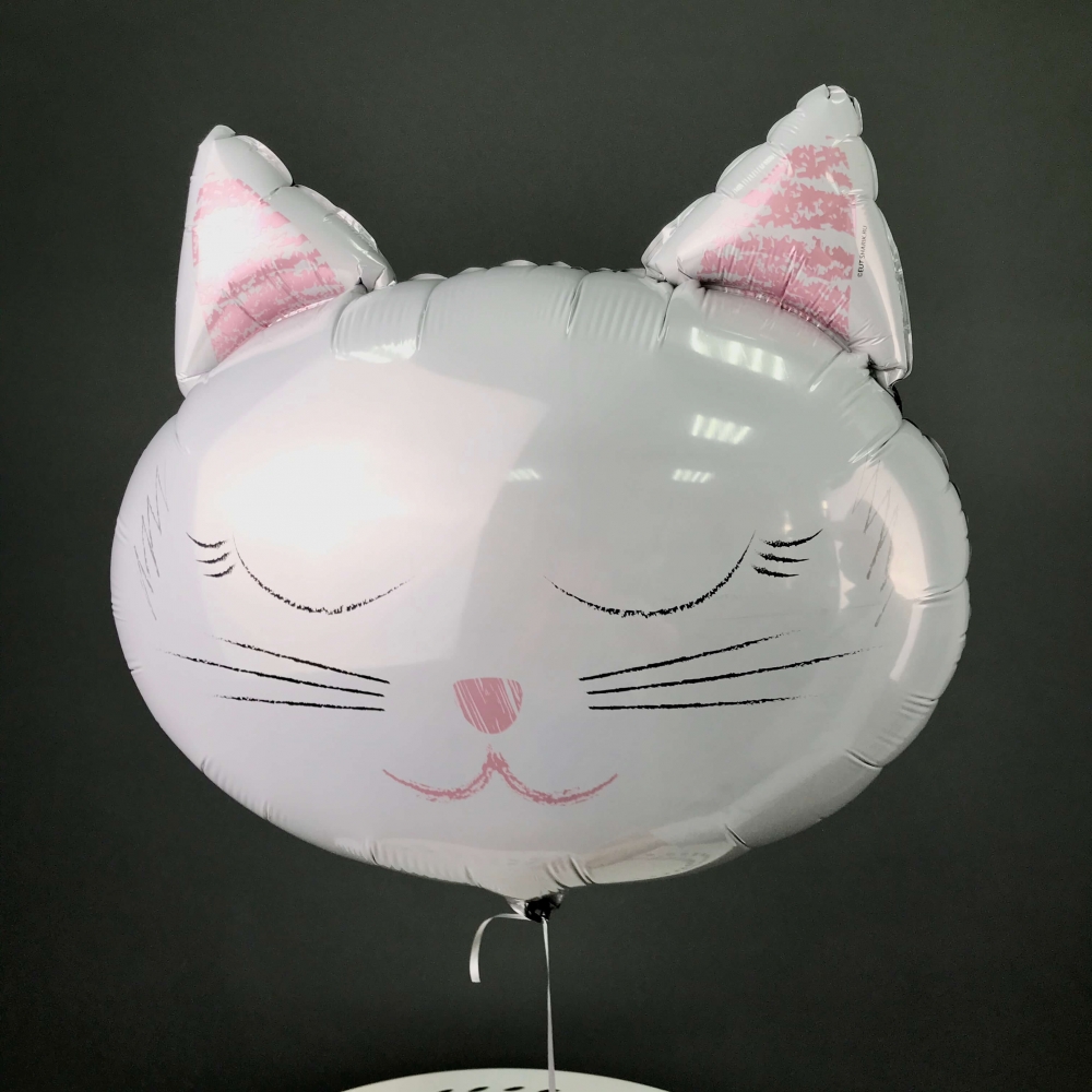 Воздушный шар "Котик"