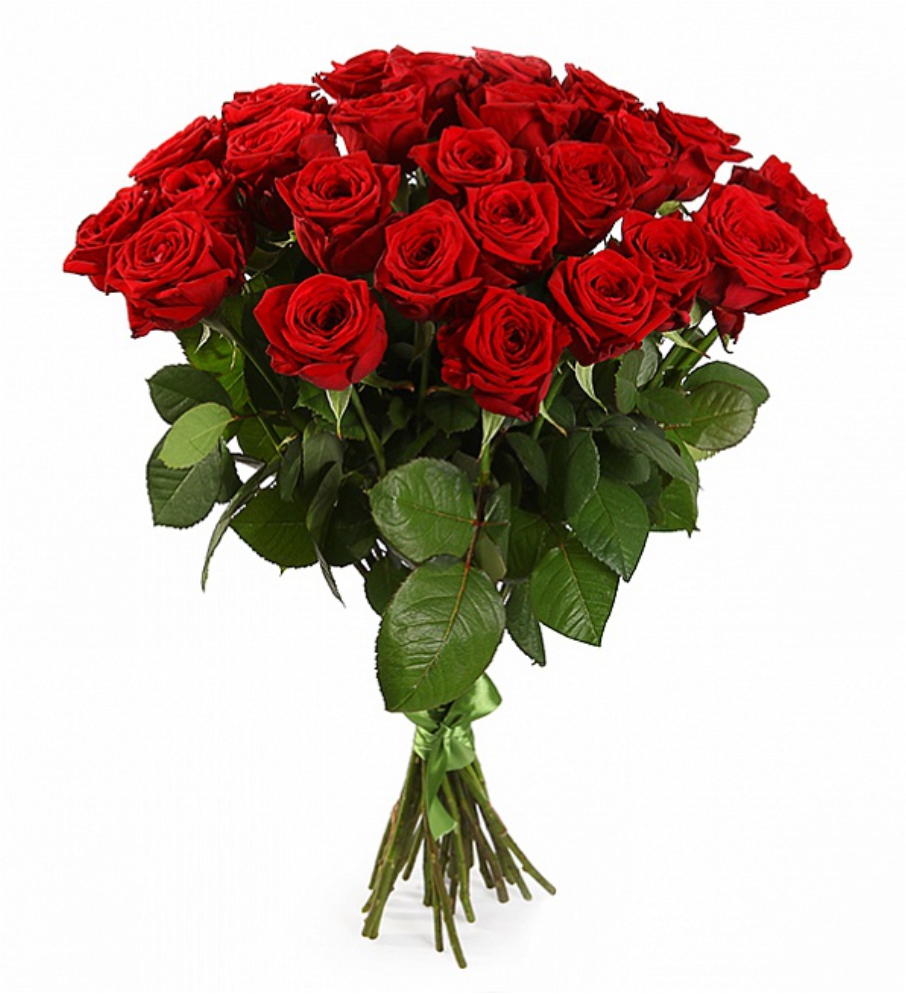 Букет красных роз (25 шт.)