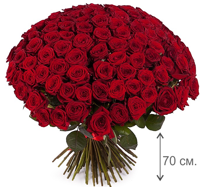 Букет 101 красная роза (70 см)