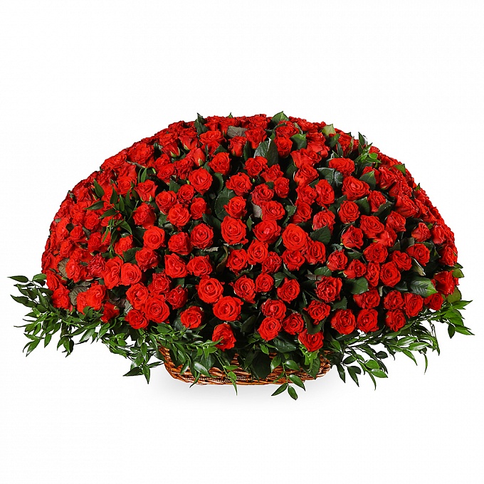 Букет "Рубиновая тиара" (501 роза)