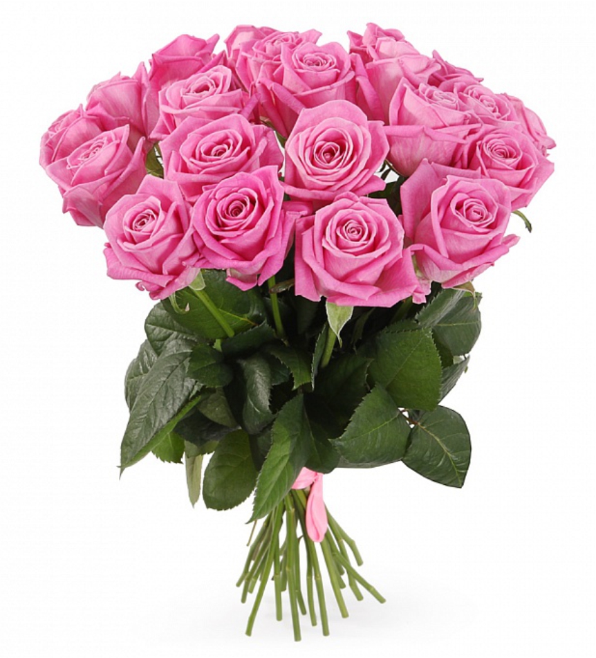 Букет розовых роз (21 шт.)