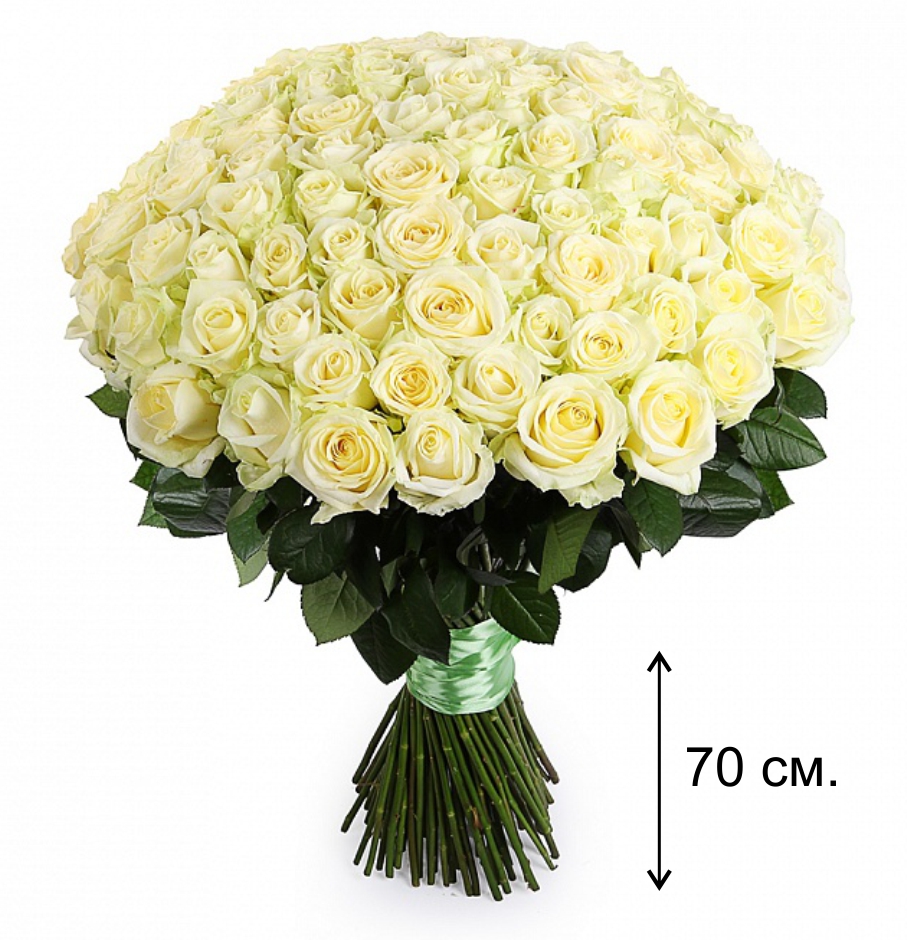 Букет белых роз (101 шт.)
